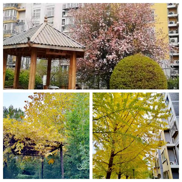 的“爆改”打造多彩龙腾苑六区社区k8凯发入口“六色助力”！家门口(图8)